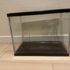 水槽