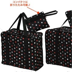 【美品✨️】SWANY スワニー  キャリーオン・ハンドルサック・折りたたみバッグの画像