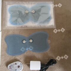バタフライアブスの画像