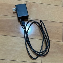 Switch 充電器　アダプター