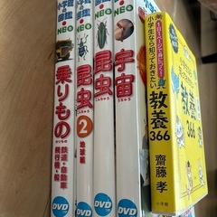 本