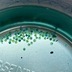 ランキングキーワードに紐づく投稿画像-メダカ