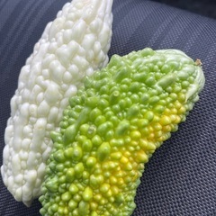 雨で退屈😂