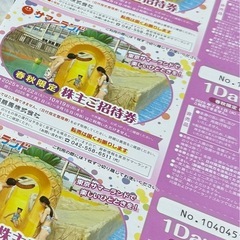 サマーランドチケット２人2,000円