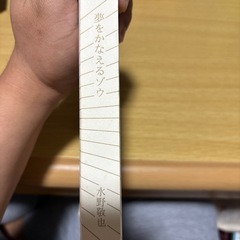 【値下げしました】夢をかなえるゾウの画像