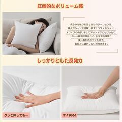 【新品】【2個セット】クッション 中身 45×45cm ホワイト クッション本体 厚い 潰れない 柔らかい ヌードファー 丸洗い可能 抱き枕の画像