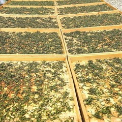 完全無農薬 ばぁばのお山の大抜茶の画像