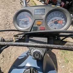 SUZUKI スズキ TS50 ハスラー50の画像