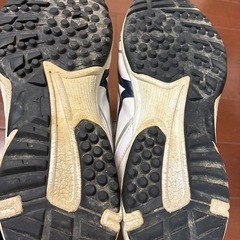 ミズノ　トレーニングシューズ　25.5㎝の画像