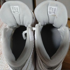 バスケットシューズ　23センチ
の画像