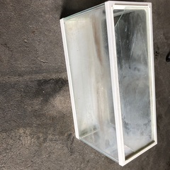 熱帯魚、観賞魚、水槽+いろいろの画像