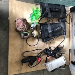 熱帯魚、観賞魚、水槽+いろいろの画像