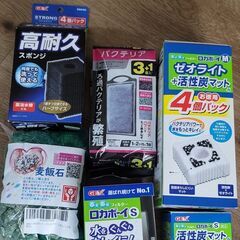 メダカ飼育に