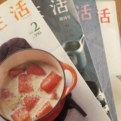 美品★20冊★「天然生活」19冊「天然生活BEAUTY」1冊
