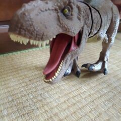 　【決まりました‼️】恐竜　の画像