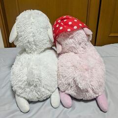 ベイビー　アルパカッソ　ビッグぬいぐるみ2個セットの画像