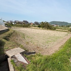 自然農法お米作り体験
