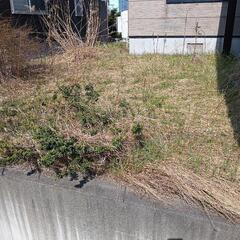 【草刈り　草むしり】毎年40件程ご依頼頂いてます