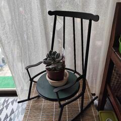 🦎花台・椅子