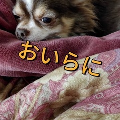 😀学校🏫に足が向かない、何らかの理由でいけない、大丈夫One and Onlyが待ってるよの画像