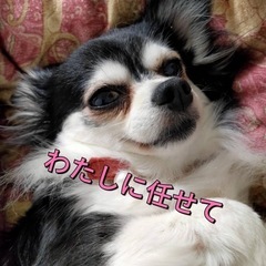 😀学校🏫に足が向かない、何らかの理由でいけない、大丈夫One and Onlyが待ってるよの画像