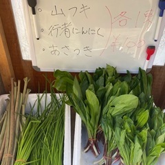 山菜　行者ニンニクの画像