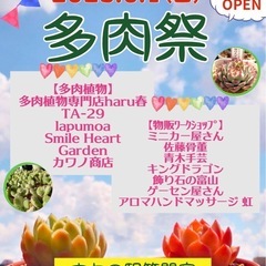 2025  6/1「多肉祭」と昔ながらの「青空市」フリーマーケット