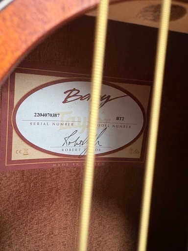 Baby Taylor MAHOGANY BT2