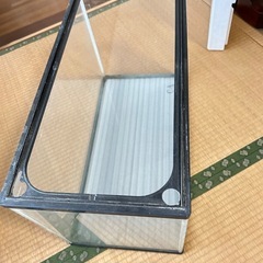水槽2個セット