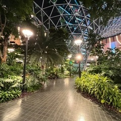 🔮【チャクラ診断】を受けて弱点を知り 改善の方法を見つけて…