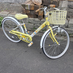 子供用自転車　ブリヂストンエコパル　花柄イエロー