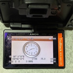 SONY α55 SLT-A55V