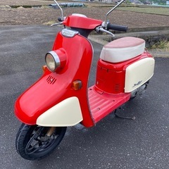 ホンダジュリオAF52モデル　オールペンしてます