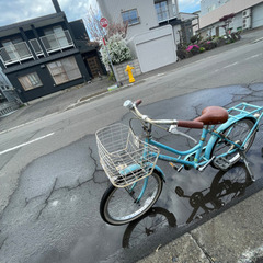水色 子供用自転車20インチ 前バスケット付きの画像