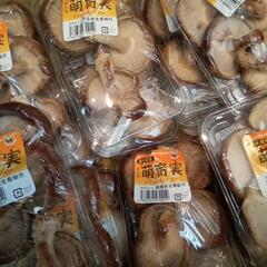 椎茸　差し上げます①