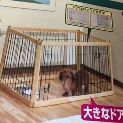 ウッディサークルの画像