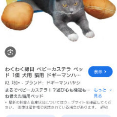 新品未使用　ブランドキャティーマン 　ねこちゃんの画像