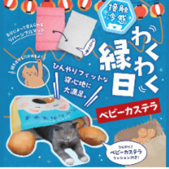 新品未使用　ブランドキャティーマン 　ねこちゃん