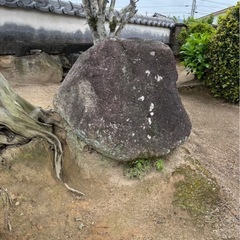 庭石