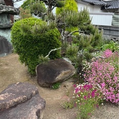庭石
