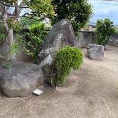 庭石