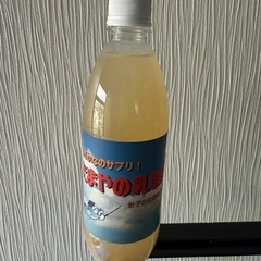 たまやの乳酸菌