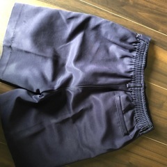 小学生標準服半ズボンの画像