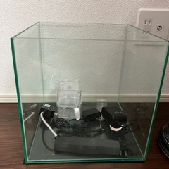 水槽30cm　セット　