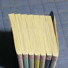 せいせいするほど愛してる全巻7冊セットの画像
