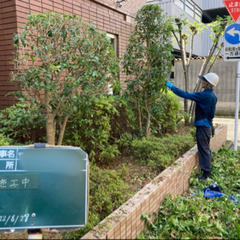 明日7日　剪定枝の積み込み手伝っていただける学生アルバイト募集