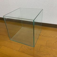 30センチ水槽