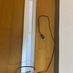 水槽ライト