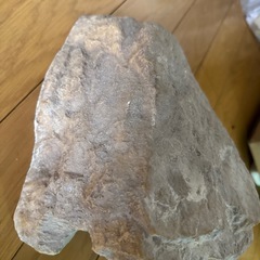 ロックシェルターの画像