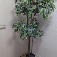 IKEA　フェイクグリーン　FEJKA フェイカ ＋ FRIDFULLの画像